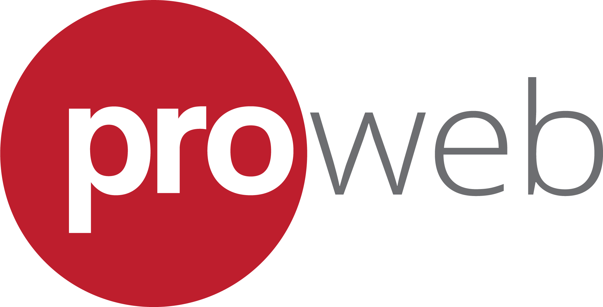 pro web logo